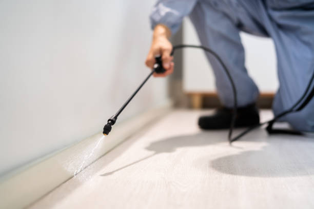 Licensed Exterminator service in Mineola, TX - Show Me Pest Control